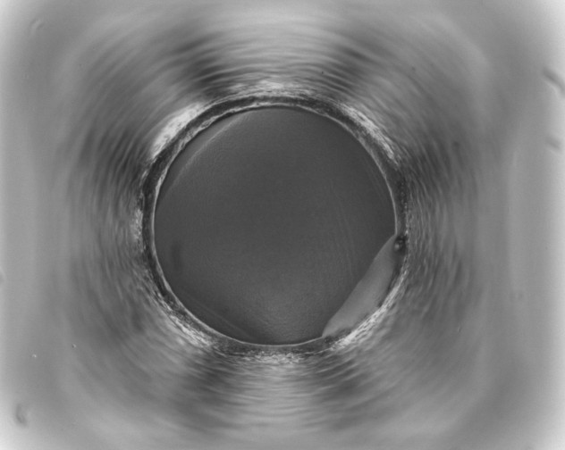 X0000093741066200710301100