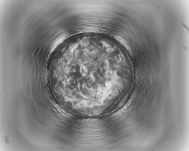 X0000093741067200710301100