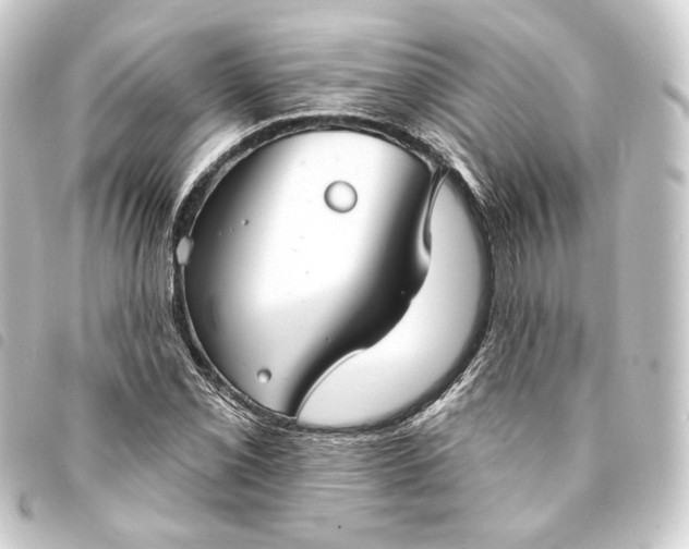 X0000093741069200710301100