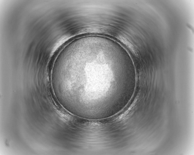 X0000093741070200710301100