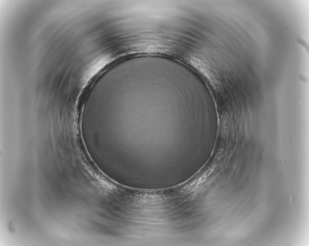 X0000093741071200710301100