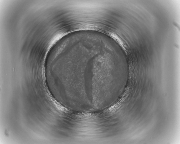 X0000093741072200710301100