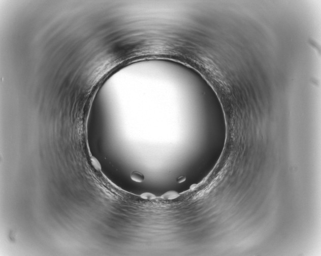 X0000093741073200710301100