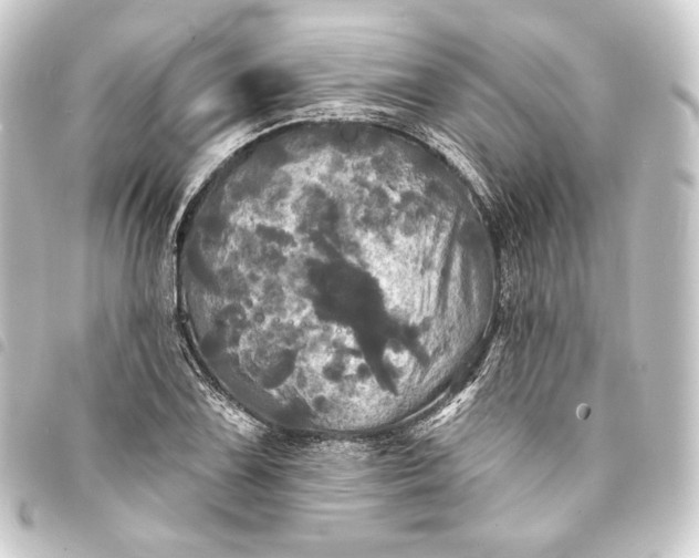 X0000093741075200710301100