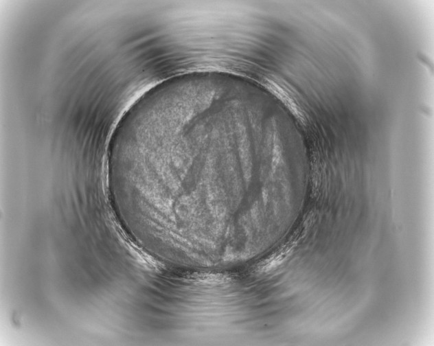 X0000093741076200710301100