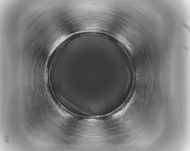 X0000093741077200710301100