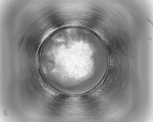 X0000093741078200710301100