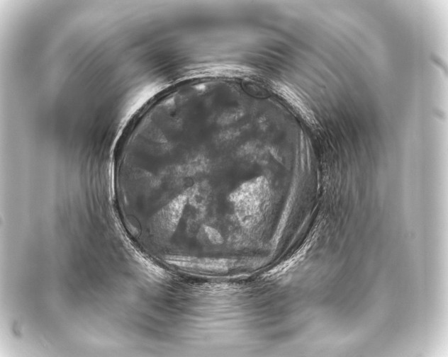 X0000093741079200710301100