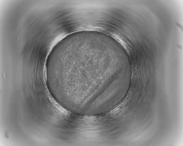 X0000093741080200710301100