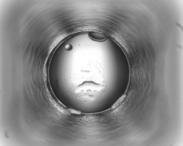 X0000093741082200710301100