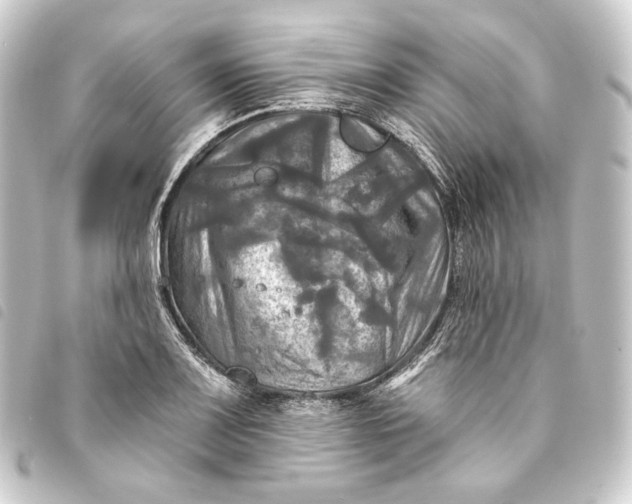 X0000093741083200710301059