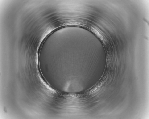 X0000093741084200710301059