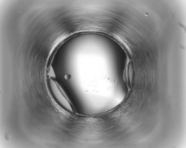 X0000093741085200710301059