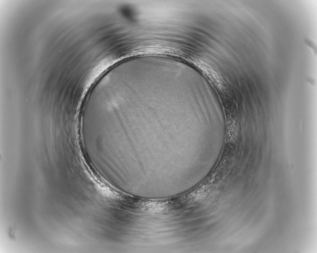 X0000093741086200710301059