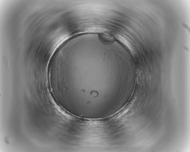 X0000093741087200710301059