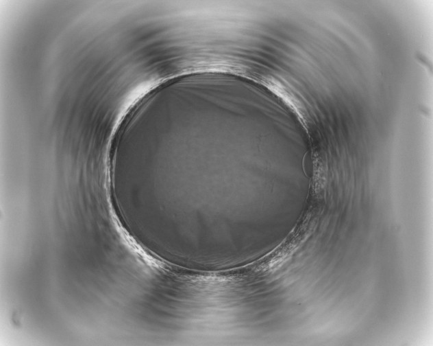 X0000093741088200710301059