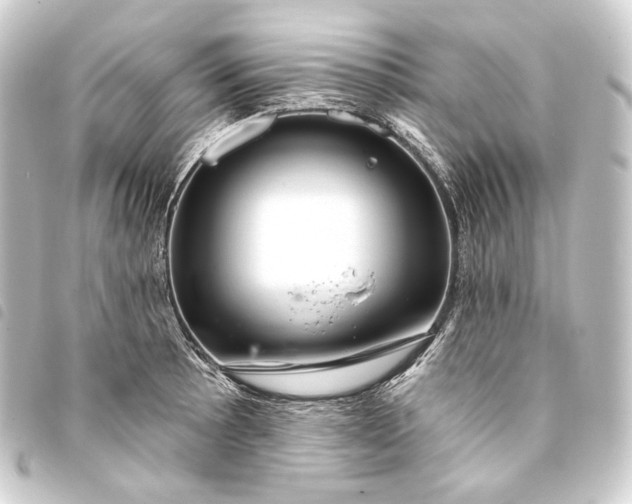 X0000093741089200710301059