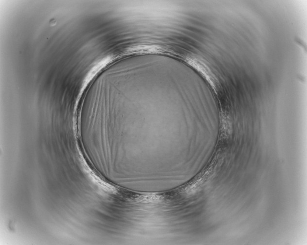 X0000093741090200710301059