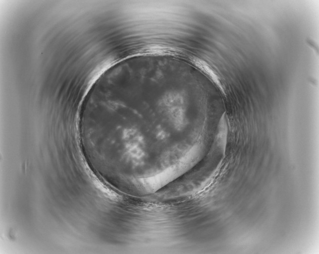 X0000093741091200710301059