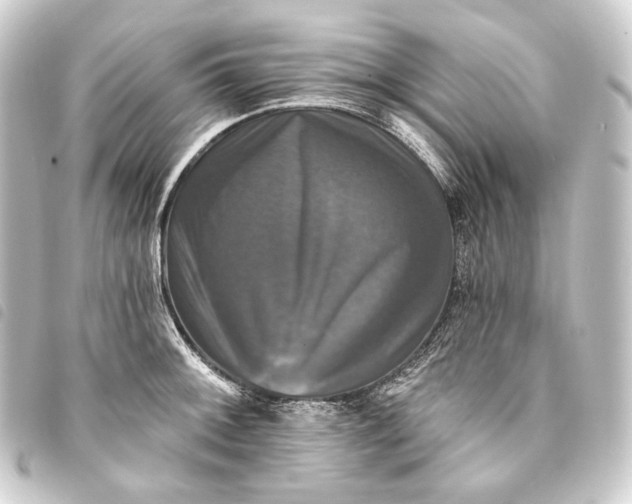 X0000093741092200710301059