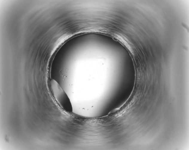 X0000093741093200710301059