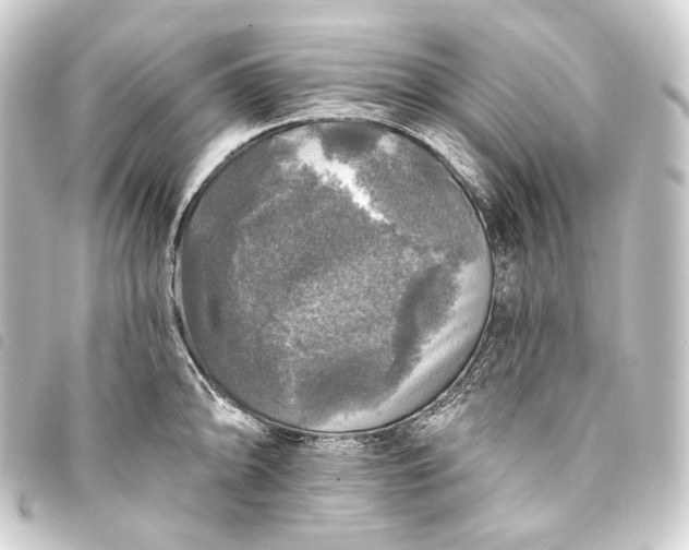 X0000093741094200710301059