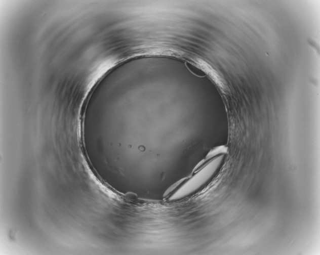 X0000093741095200710301059