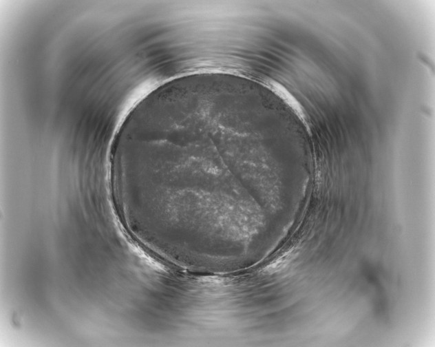 X0000093741096200710301059