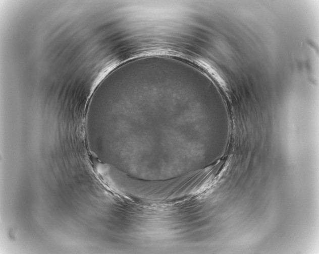 X0000093741097200710301059