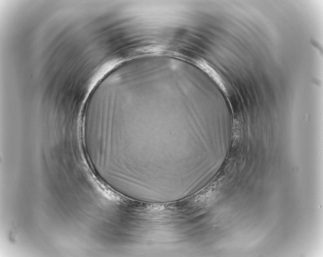 X0000093741098200710301059