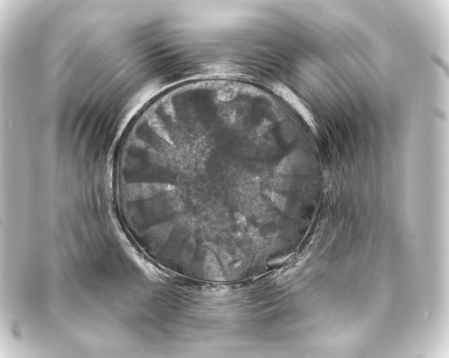 X0000093741099200710301059