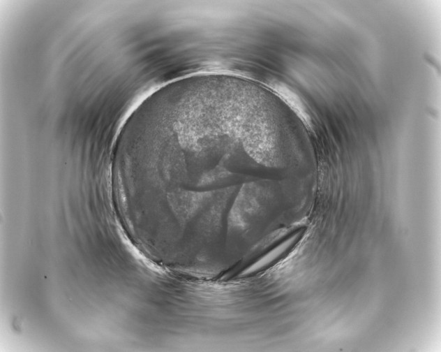 X0000093741100200710301059