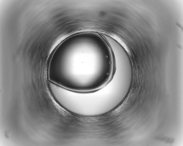 X0000093741101200710301059