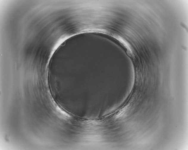 X0000093741102200710301059