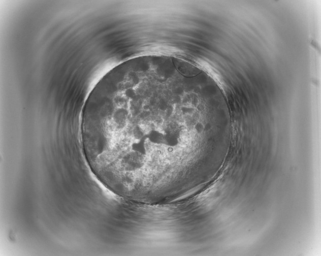 X0000093741103200710301059