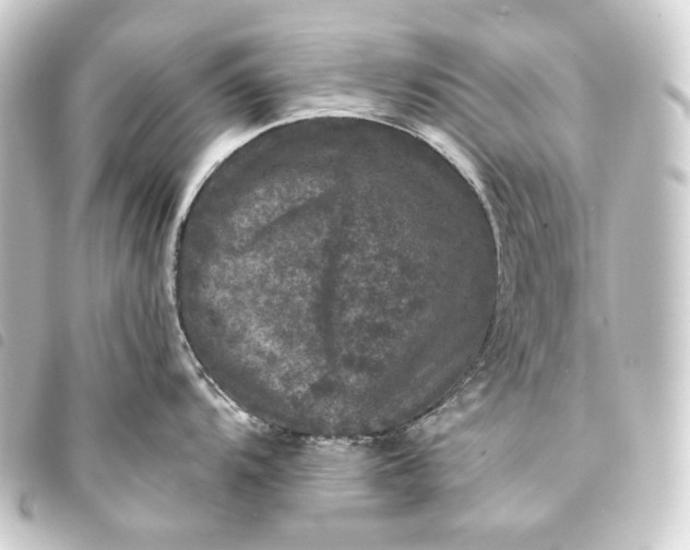 X0000093741104200710301059