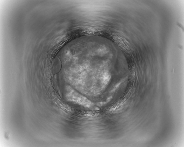 X0000093741105200710301059