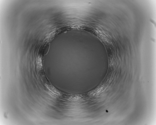 X0000093741106200710301059