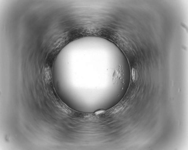 X0000093741107200710301059