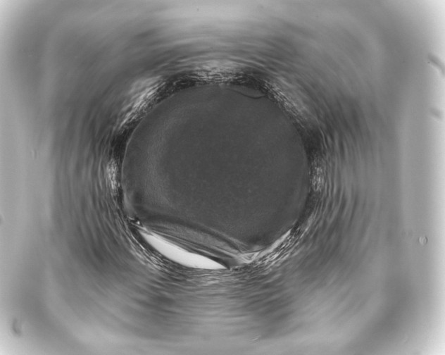 X0000093741108200710301059