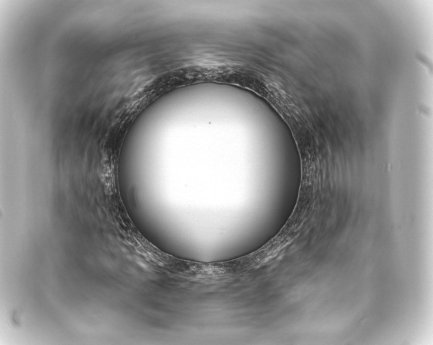 X0000093741109200710301059