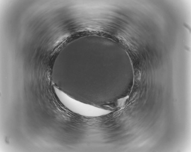 X0000093741110200710301059