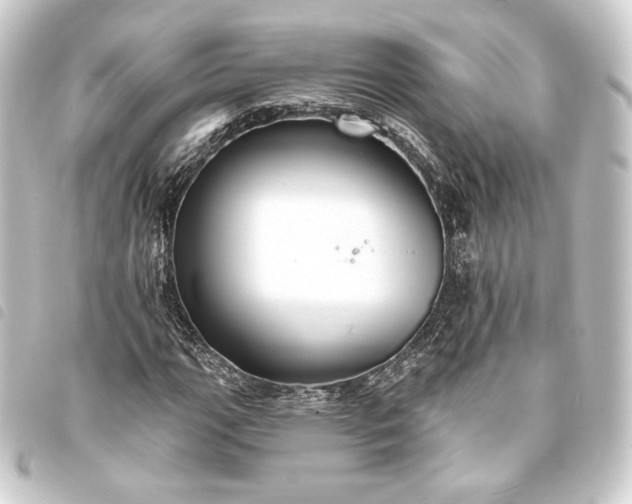 X0000093741111200710301059