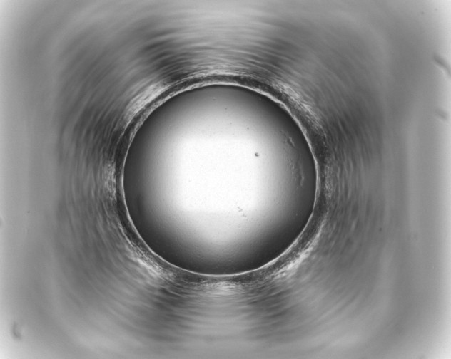 X0000093741113200710301059