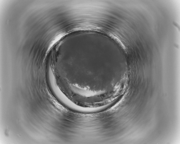 X0000093741114200710301059