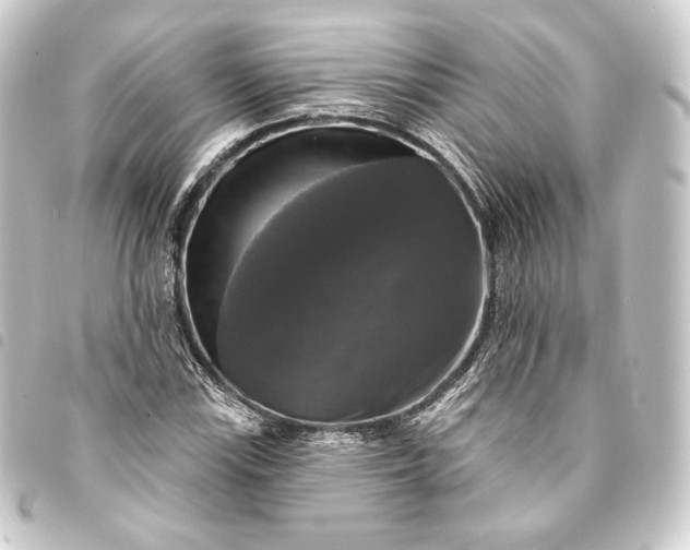 X0000093741115200710301059