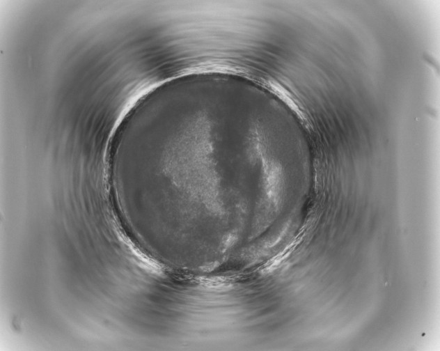 X0000093741116200710301059