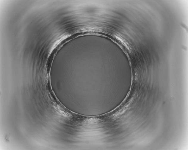 X0000093741117200710301059