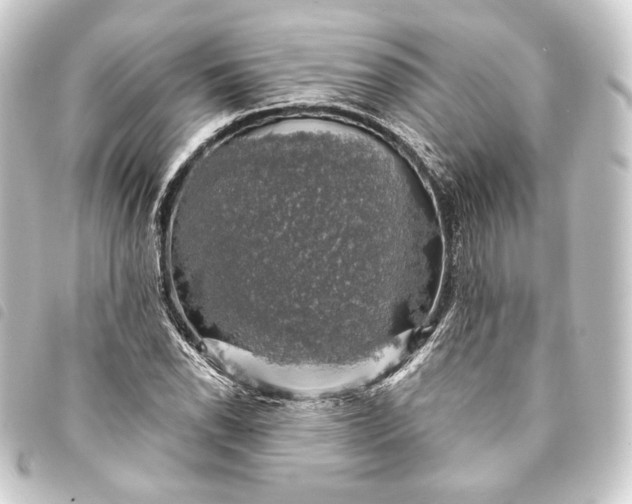 X0000093741118200710301059