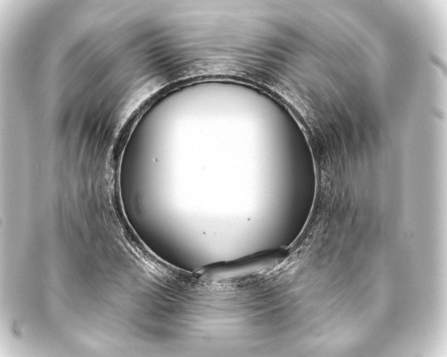 X0000093741119200710301059